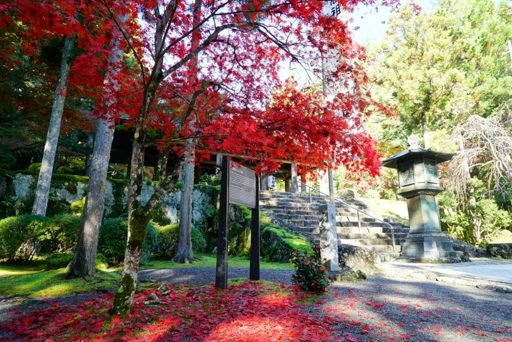 身延山 紅葉(Mt. Minobu Autumn leaves)