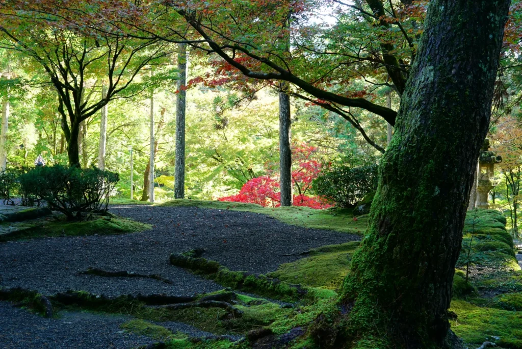 身延観光(Minobu sightseeing)