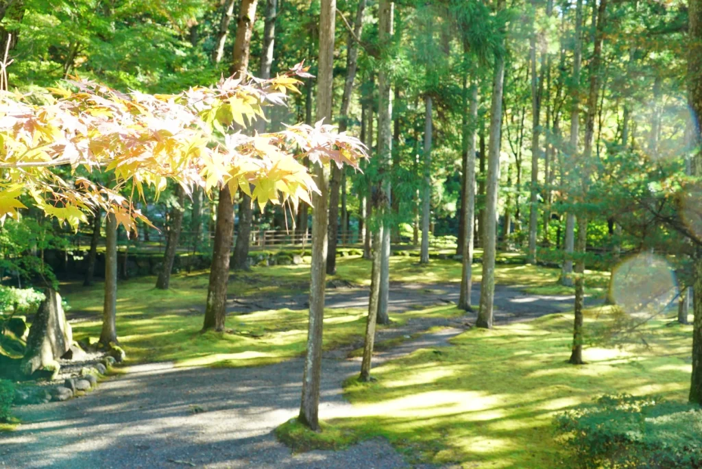 日本の自然(Japanese Nature)