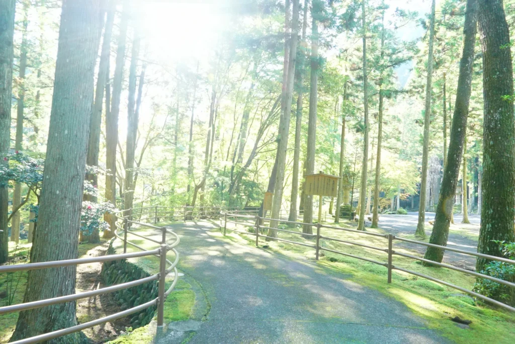 散策(Walks)
