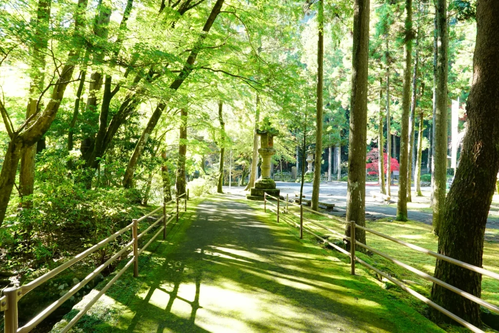 自然公園(Natural Parks)
