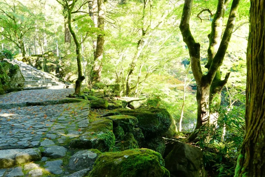 身延山 ハイキング(Mt. Minobu hiking)