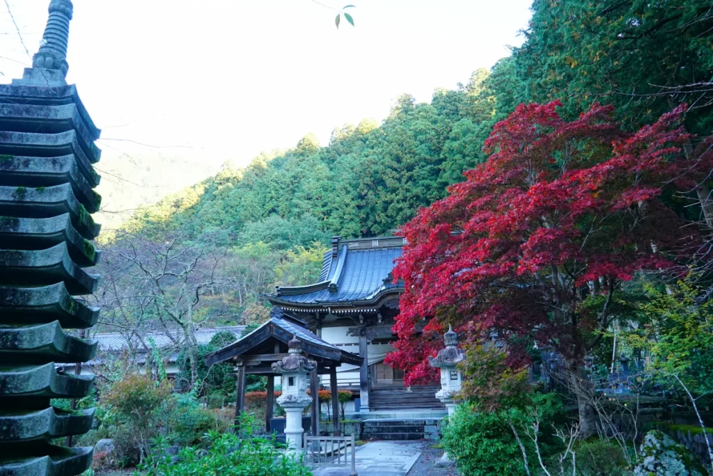 竹之坊(TakenoBou)