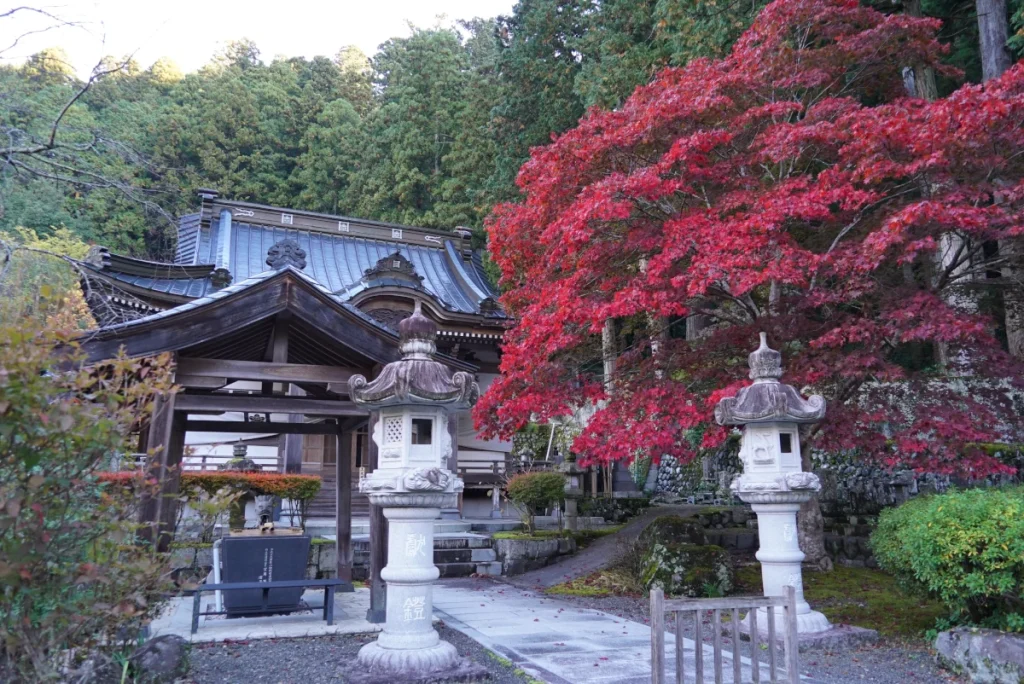 竹之坊(TakenoBou)