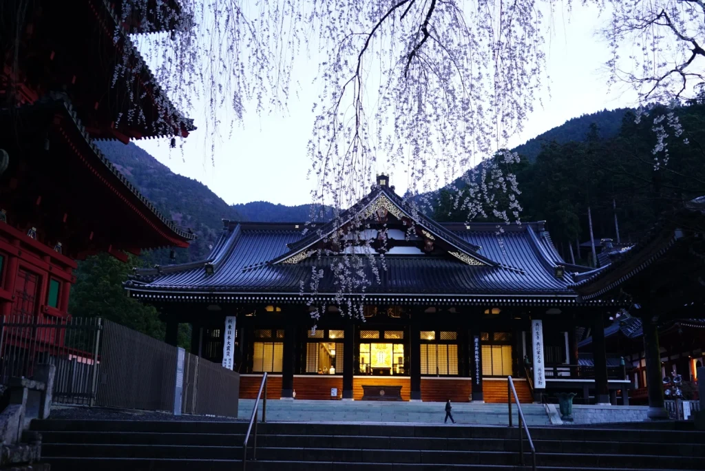 本堂と桜(Hondo/Main hall & Cherry blossoms)