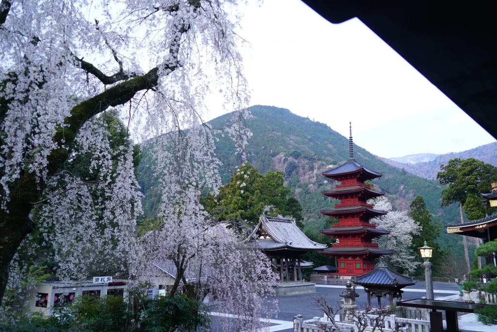 五重塔(red pagoda)