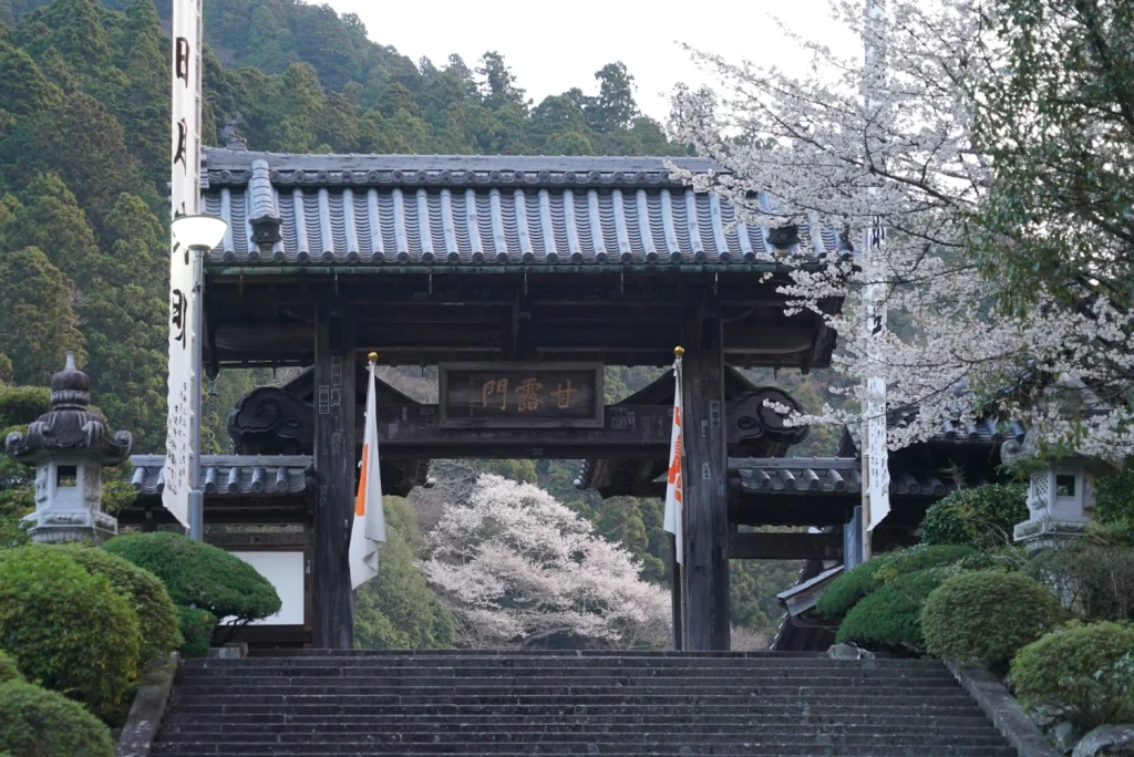 久遠寺の桜(Kuonji Temple cherry blossoms)