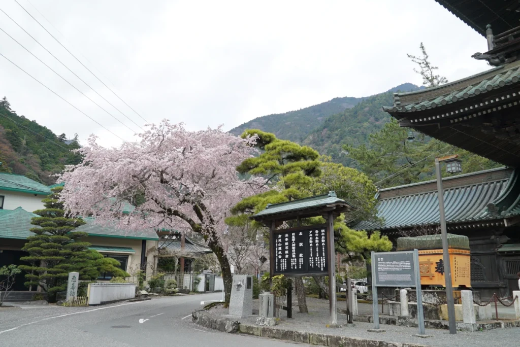 恵善坊(EzenBo)