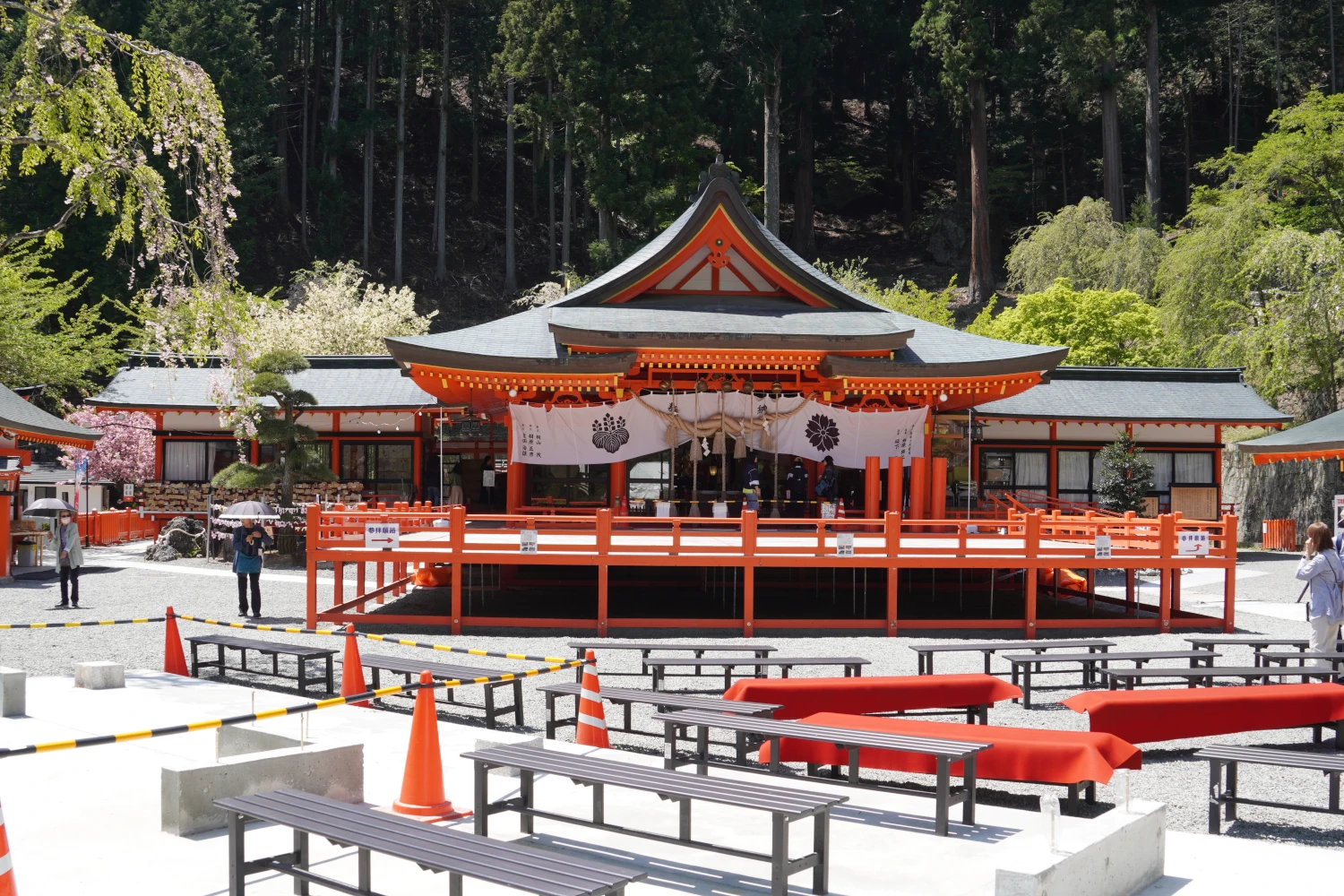 金櫻神社(Kanazakura Shrine)