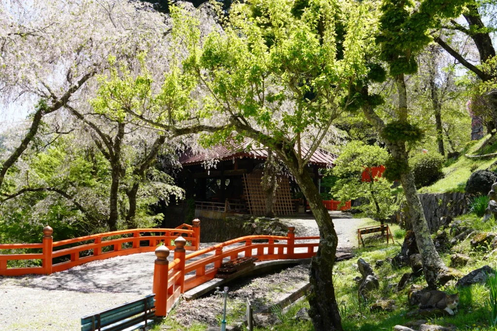 金櫻神社(Kanazakura Shrine)