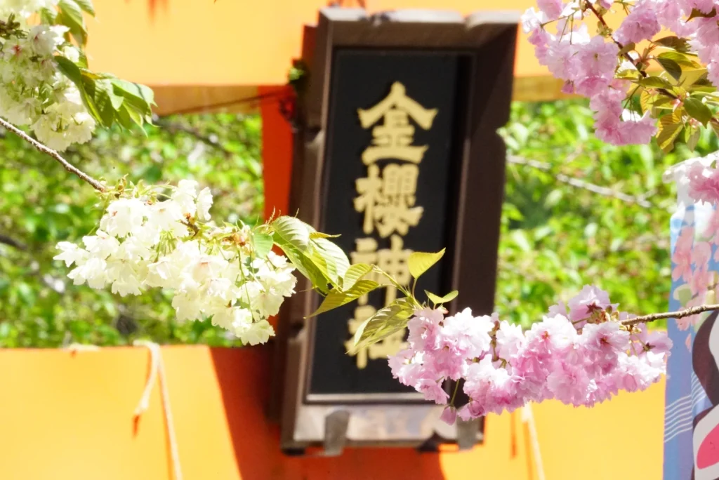 金櫻神社(Kanazakura Shrine)