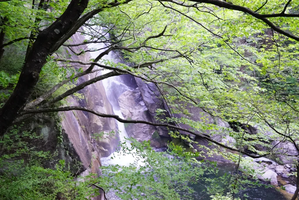 仙娥滝(Sengataki Falls)