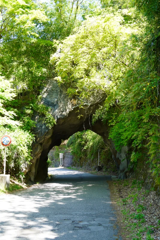 Stone Gate