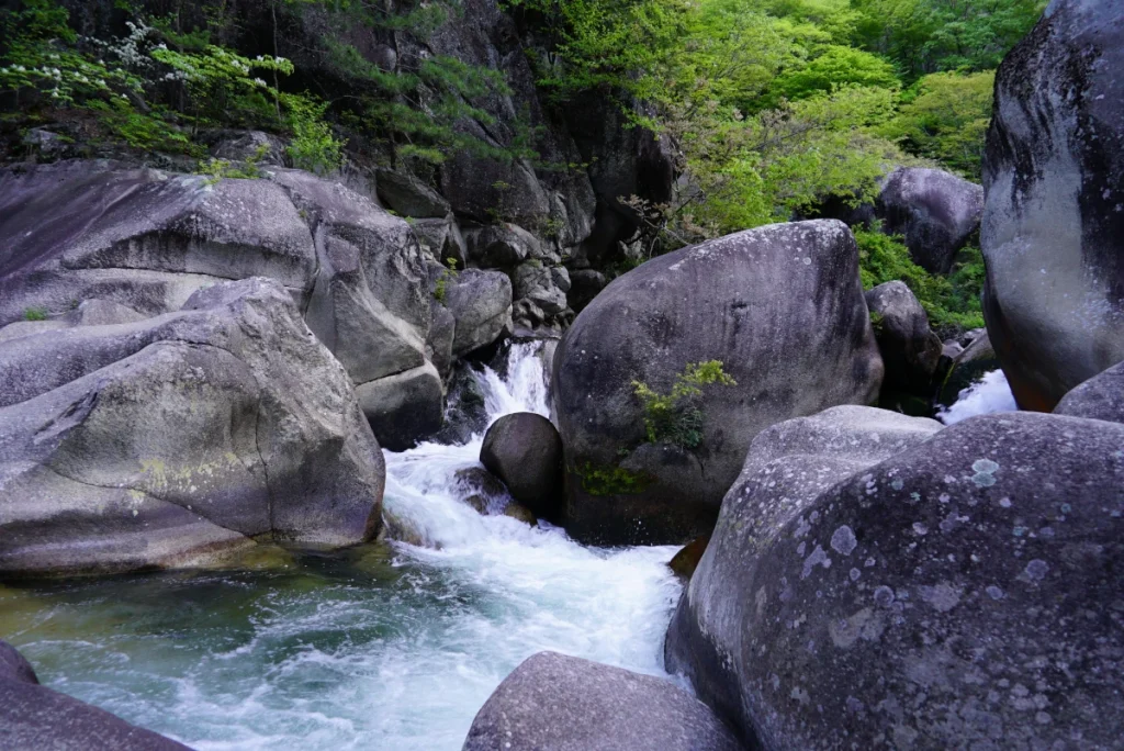清流(Clear Stream)