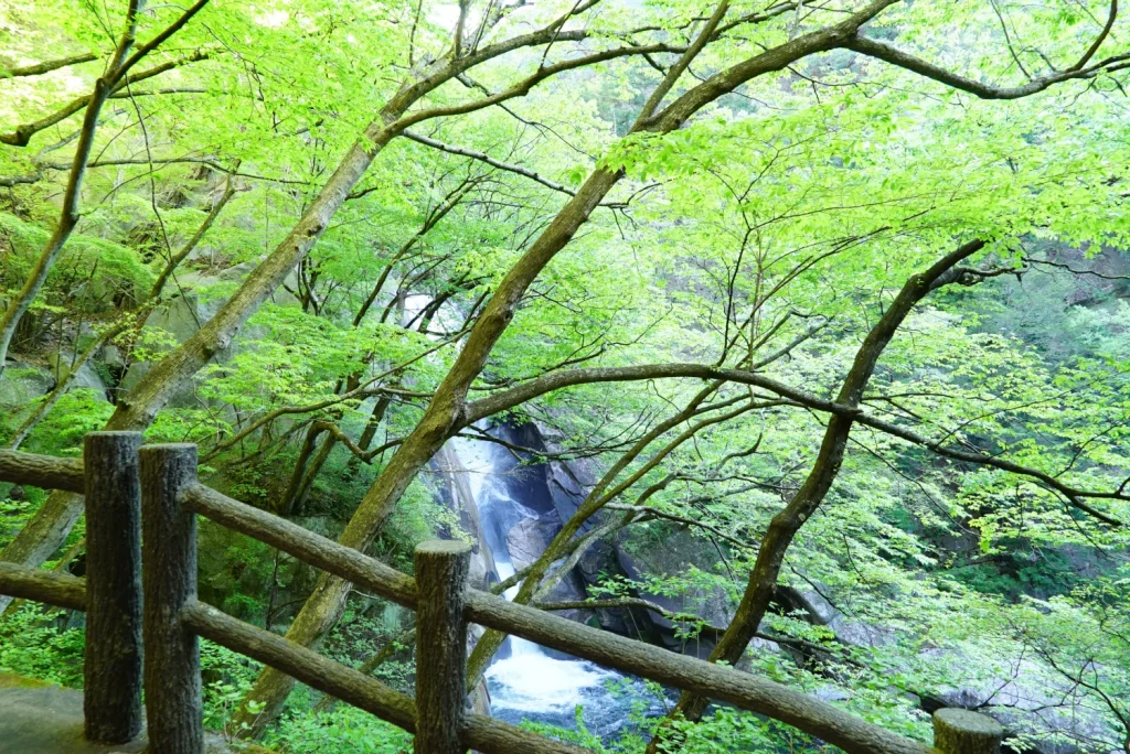 仙娥滝(Sengataki Falls)