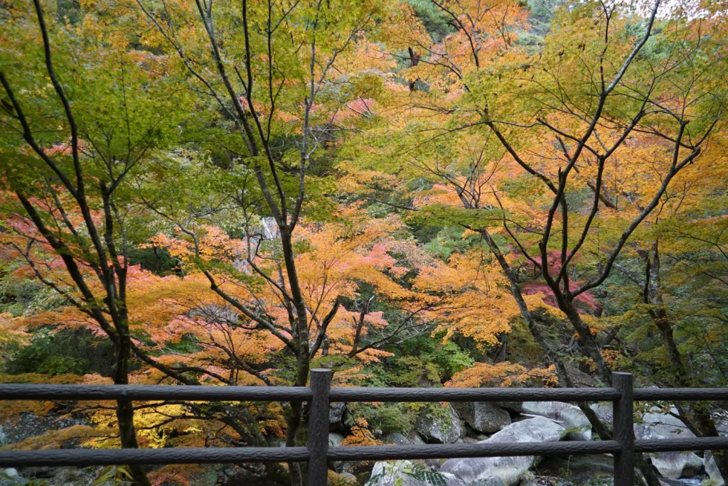 Autumn foliage at Shosenkyo